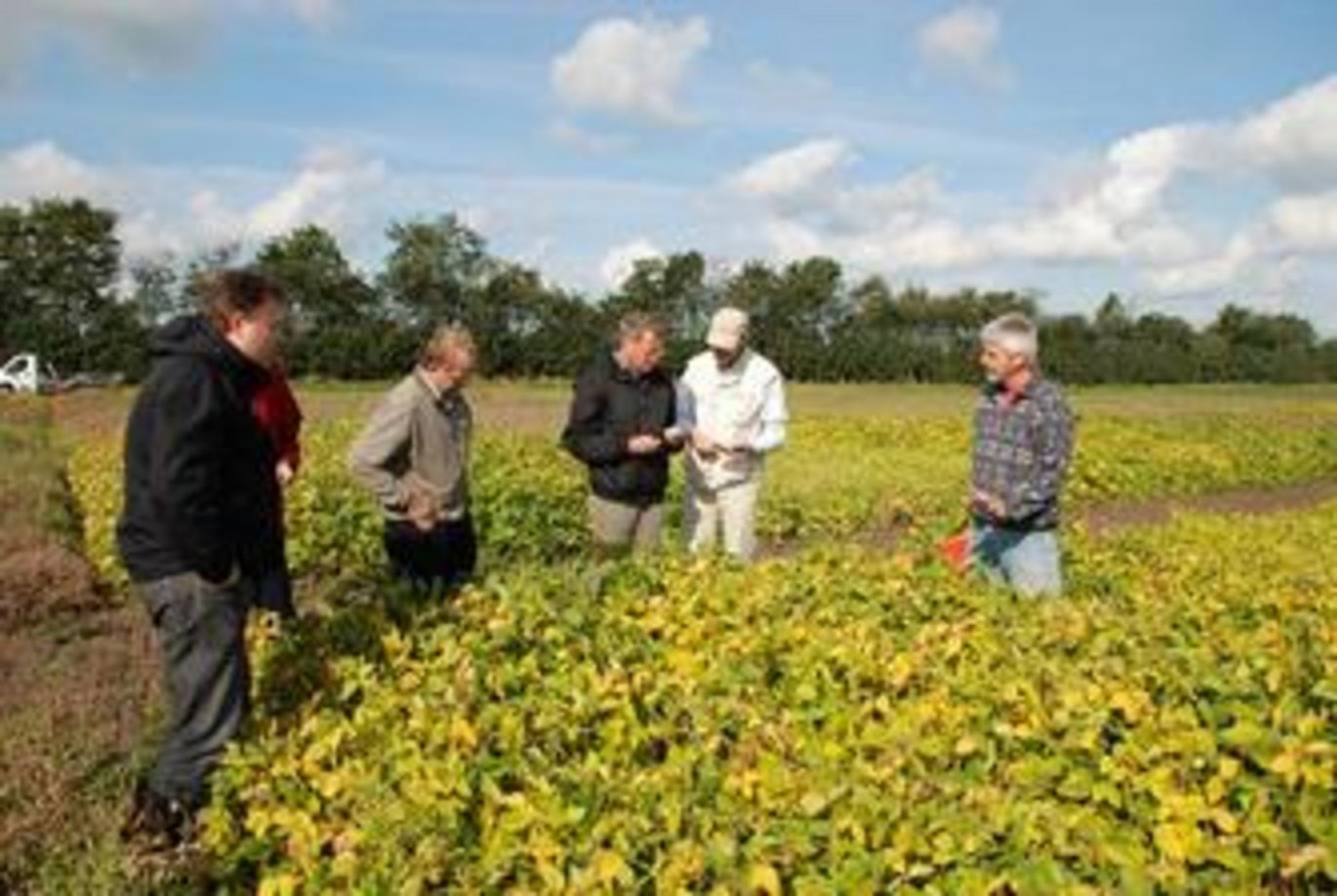 Foto: Henning Carlo Thomsen, DJF