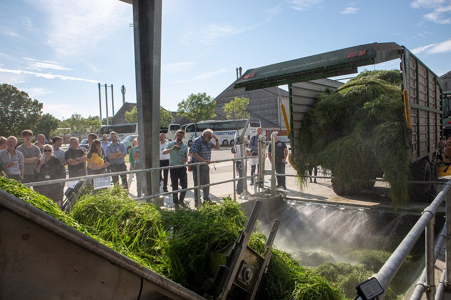 Bioøkonomiske muligheder i græsprotein, biogas og biomasser