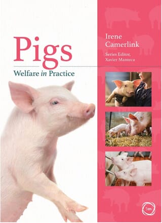 Ny international lærebog om velfærd hos grise: ”Animal welfare in practice: Pigs”. Ny international lærebog om velfærd hos grise: ”Animal welfare in practice: Pigs”.